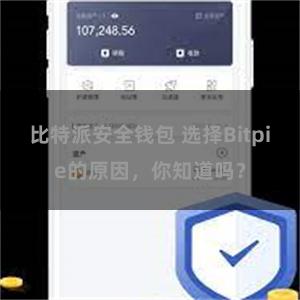 比特派安全钱包 选择Bitpie的原因，你知道吗？