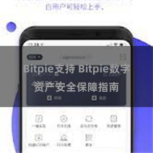 Bitpie支持 Bitpie数字资产安全保障指南