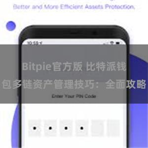 Bitpie官方版 比特派钱包多链资产管理技巧：全面攻略