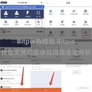 Bitpie热钱包 Bitpie钱包支持的区块链网络全面解析