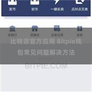 比特派官方应用 Bitpie钱包常见问题解决方法