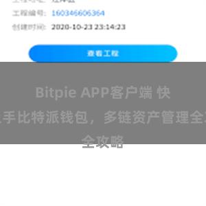 Bitpie APP客户端 快速上手比特派钱包，多链资产管理全攻略