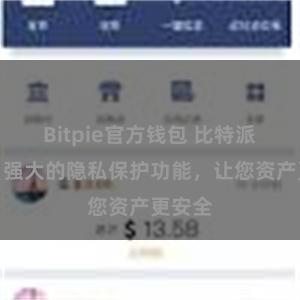 Bitpie官方钱包 比特派钱包：强大的隐私保护功能，让您资产更安全