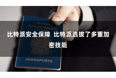 比特派安全保障  比特派选拔了多重加密技能